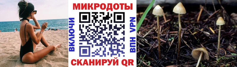 Псилоцибиновые грибы Psilocybe  Орёл 